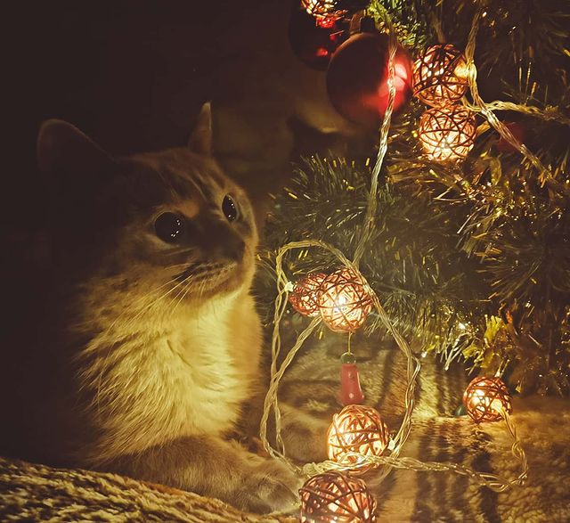 oleg_lll_ in LOOKY. #nokiamobilenewyear. #nokiamobilenewyear ...