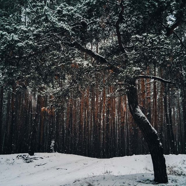 oleg_lll_ in LOOKY. #nokiamobilenewyear. #nokiamobilenewyear