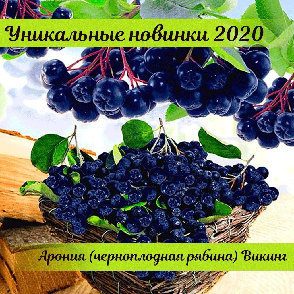 gardenmart24.ru в LOOKY — фото 2