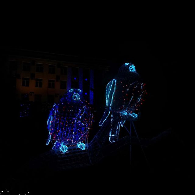 oleg_lll_ in LOOKY. #photo,#photographer,##night,#newyear2020,#newyear,#night,#light,#birds. Ну что почирикаем)))...