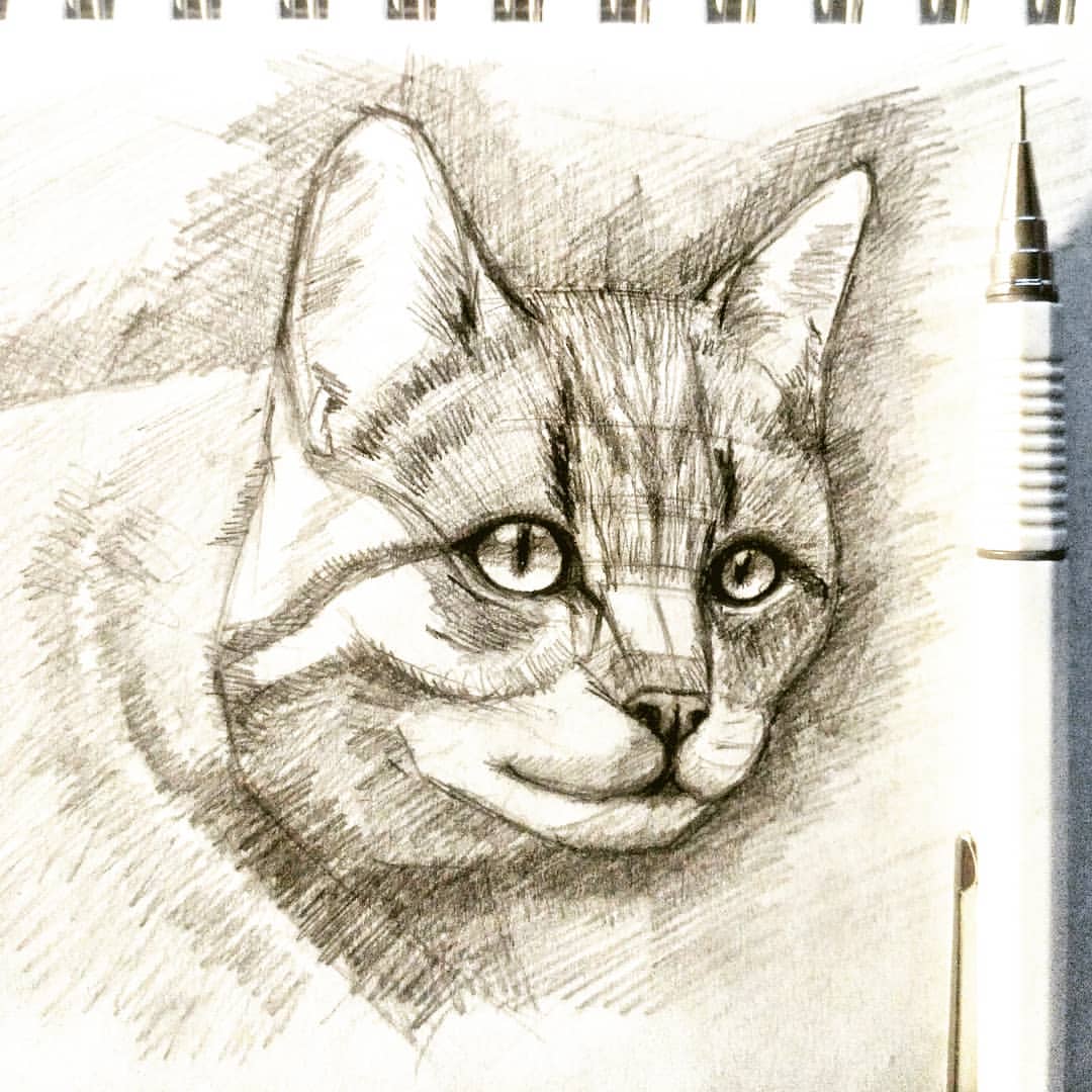 callileo75 in LOOKY. #leo75рисует,#чбграфика,#рисуноккарандашом,#коткарандашом,#рисуюкота,#catdrawing,#drawingcat,#drawingcats,#33котаleo. Вот чем заняться 2-г...