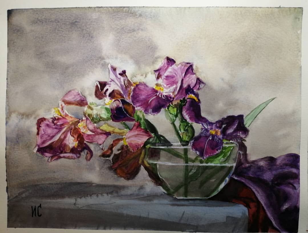art_irasokolova в LOOKY — Прелестные ирисы в широкой вазе. Акварель 22х30. #рисую #худ