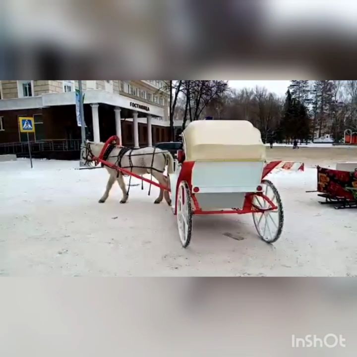 sergevna_bos в LOOKY. . null