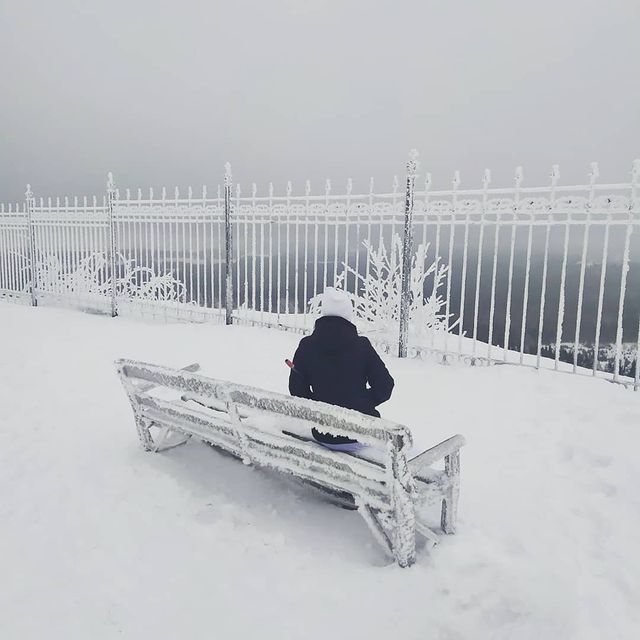 gabova.katerina в LOOKY. . null