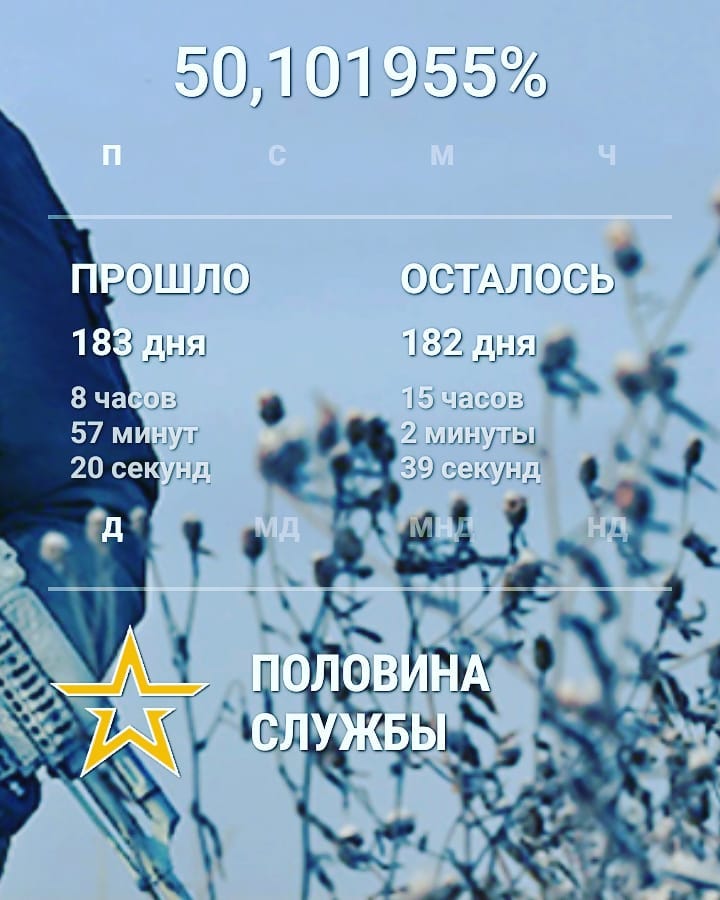 el_torro95 в LOOKY — #пошелОбратныйОтсчет