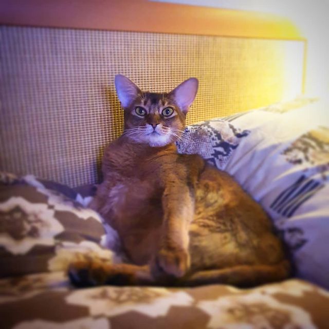 veronika_yagushinskaya в LOOKY. . Как думаете, ей удоб...