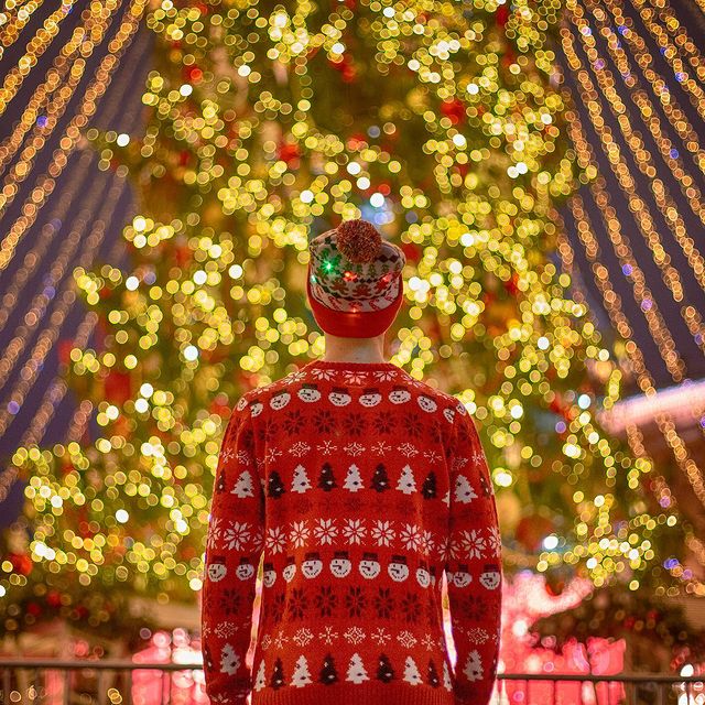 boldentura в LOOKY. #instagram,#christmas,#christmastree,#christmaseve,#christmastime,#christmasparty,#christmaslights,#christmastree,#snow,#merrychristmas,#happynewyear,#newyearsday,#newyear,#newyears2020,#новыйгод2020,#новыйгод,#сновымгодом,#рождество,#рождествохристово,#cновымгодом,#срождеством,#рождествохристово,#Moscow,#Москва,#путешествиеврождество,#моямосква,#новогодняямосква,#манежнаяплощадь,#краснаяплощадь,#кремль. ⠀⠀Бывает, идёшь тако...