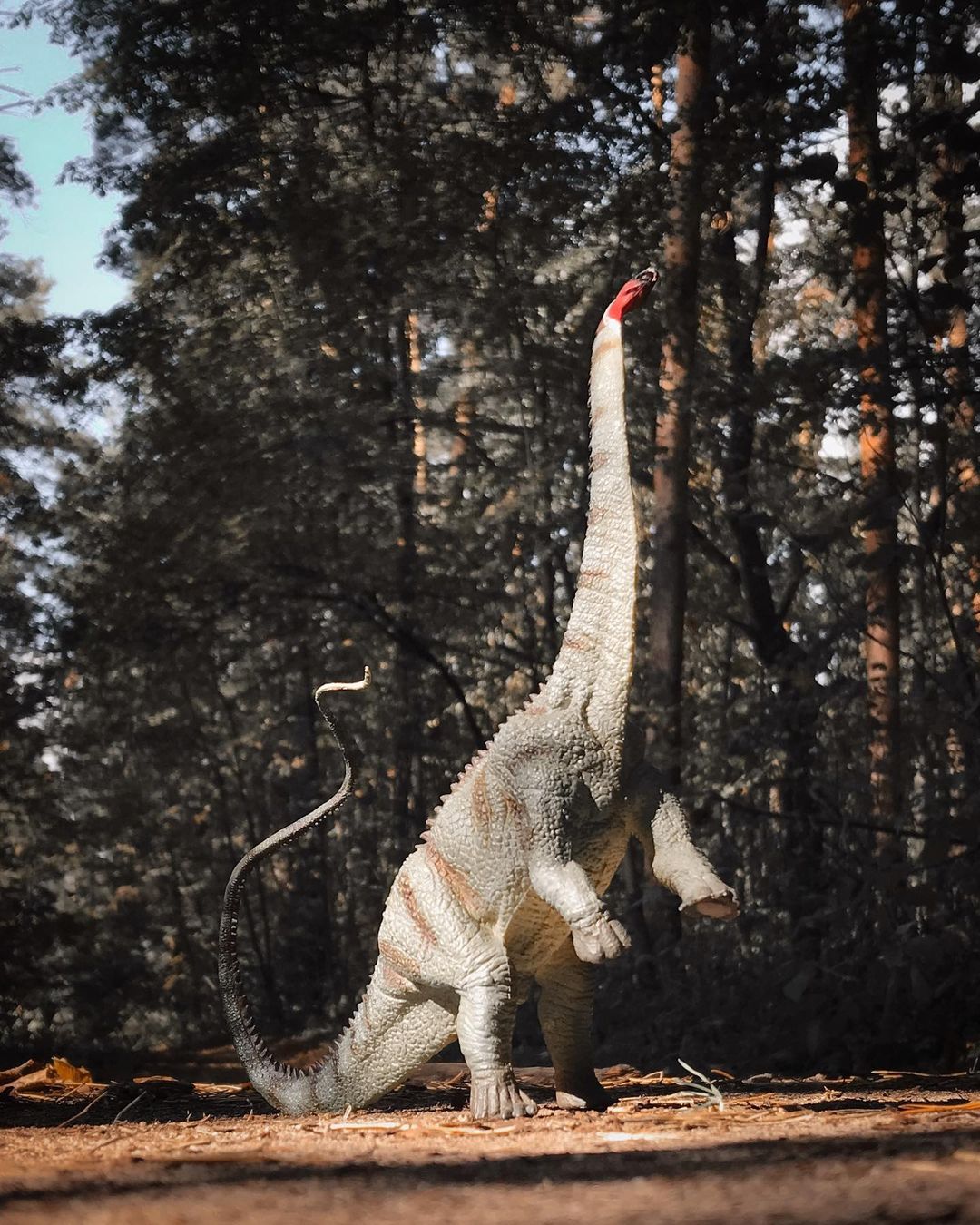 toys_pin in LOOKY. #игрушки,#динозавры,#динозавр,#дети,#детство,#dinosaur,#dinosaurs,#child,#children,#family,#science,#shotoniphone,#iphonography,#iphone7,#mobilephotography,#love,#lol,#hipster,#woodworking,#wood,#nature,#travel. Caution! Alive insid...