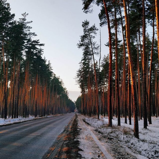 mishqa_kondaurov в LOOKY. . null
