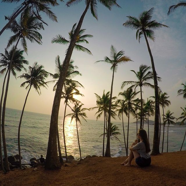 aliya_bazeeva в LOOKY. #srilanka,#mirissa,#mirissabeach,#coconut,#coconuttreehill. А вы знали..?🌴🥥
💚...