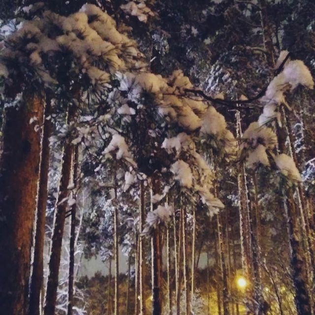 kosterina_ti в LOOKY. . Снежная сказка✨