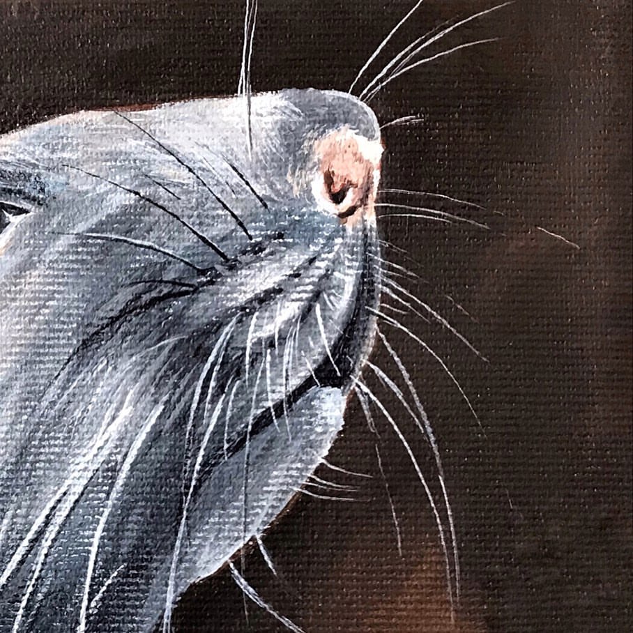 yana_applika в LOOKY — фото 4
