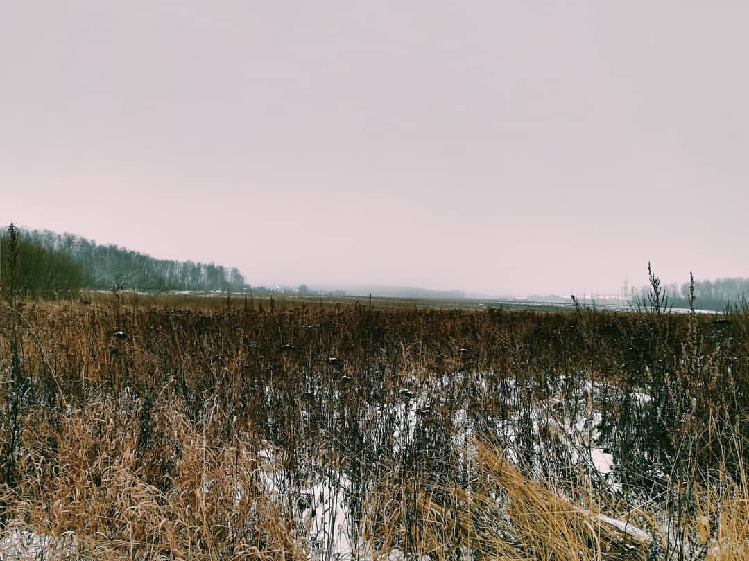 yakovleva_nastya__ в LOOKY. . Область N - душа Рос...