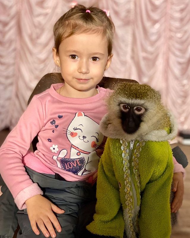 natulochka89 в LOOKY. #цирк,#канаш. 🐒 🎪 #цирк #канаш