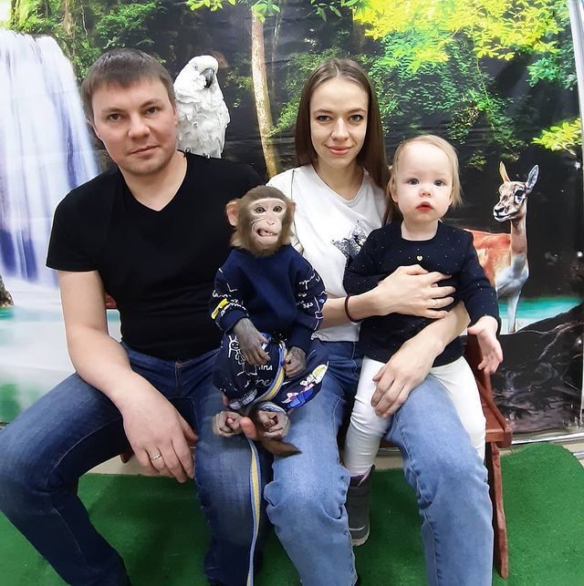 kisarova__anna в LOOKY. . Вот так выглядит наш...