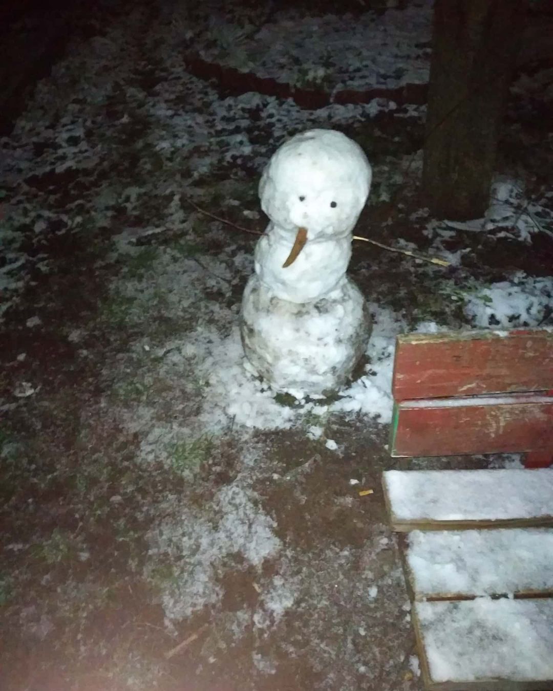 Виталий Дарчик в LOOKY — Какая зима, такой и снеговик #winter #winter2020 #2020 #2020