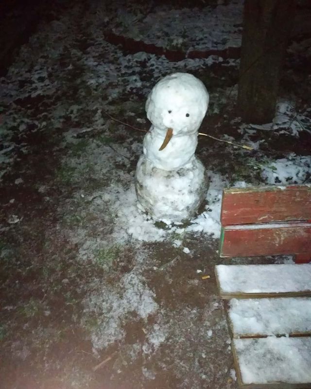 Виталий Дарчик в LOOKY. #winter,#winter2020,#2020,#2020год,#snowman,#notsnow. Какая зима, такой и ...