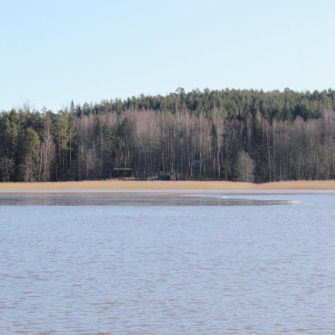 moimir_iv в LOOKY — фото 10