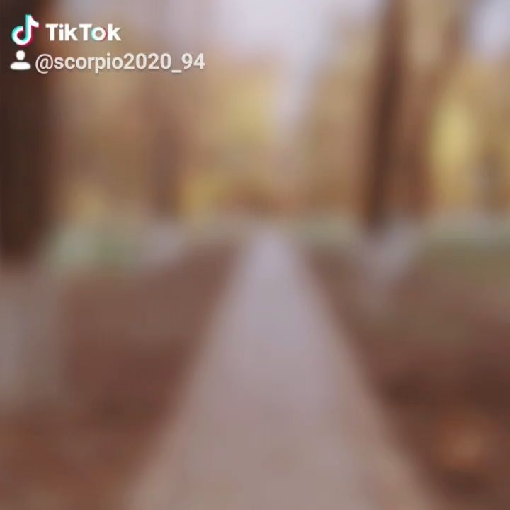 ivan_photo_s в LOOKY. . 🤣я не переношу Тик ...