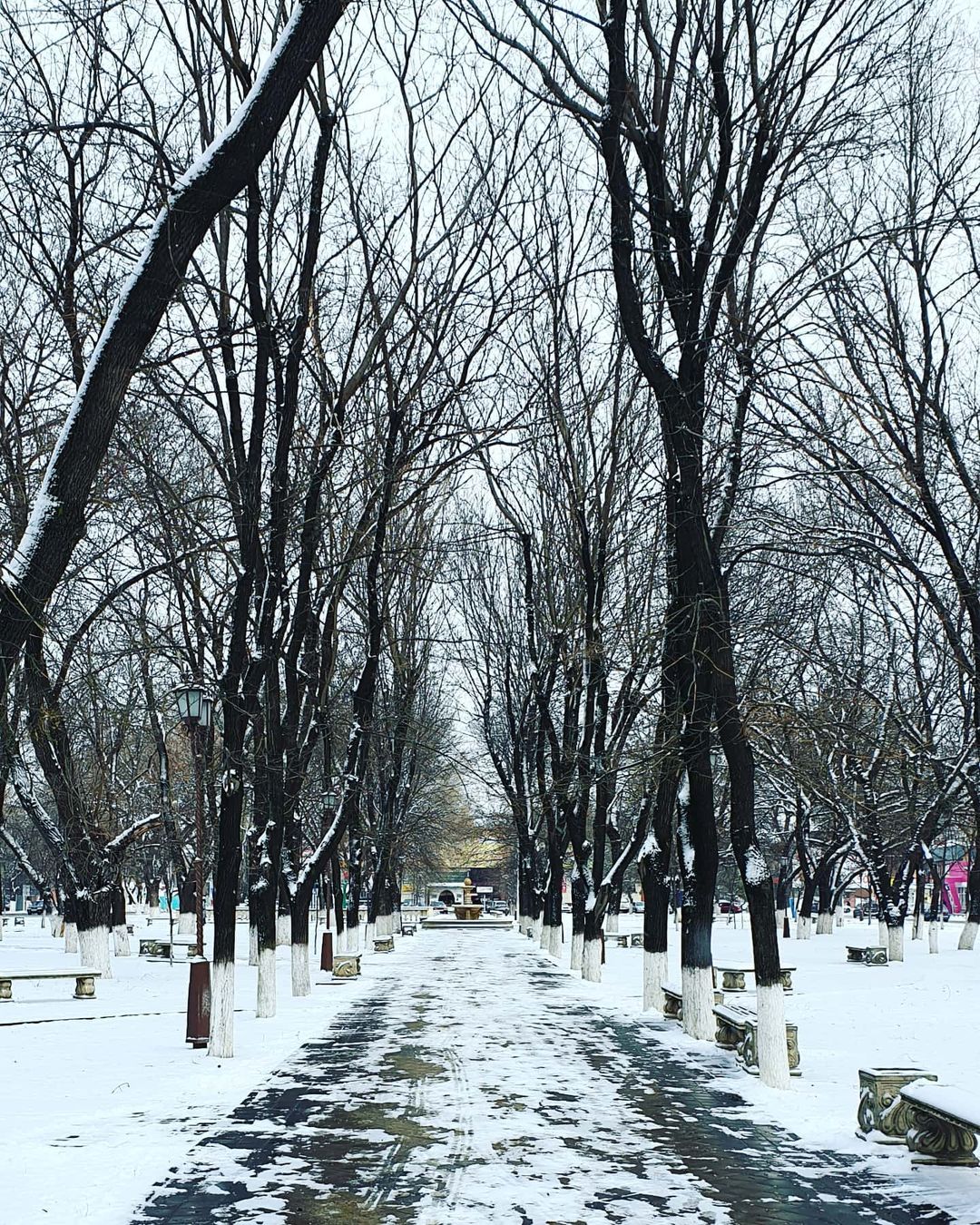 ivan_photo_s в LOOKY — публикация