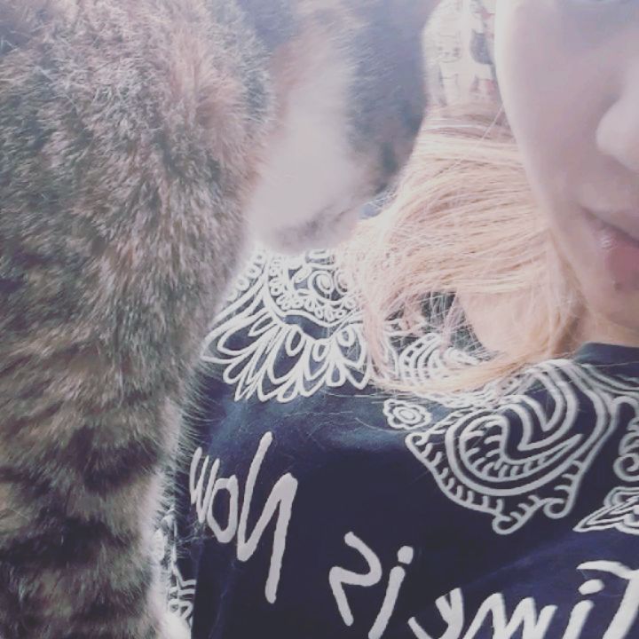 albina7421 в LOOKY. #Котокафе. #Котокафе