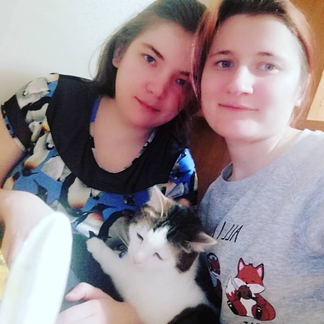 angel.devil.96 в LOOKY — Когда смотришь фильм, а к вам прыгает котейка.