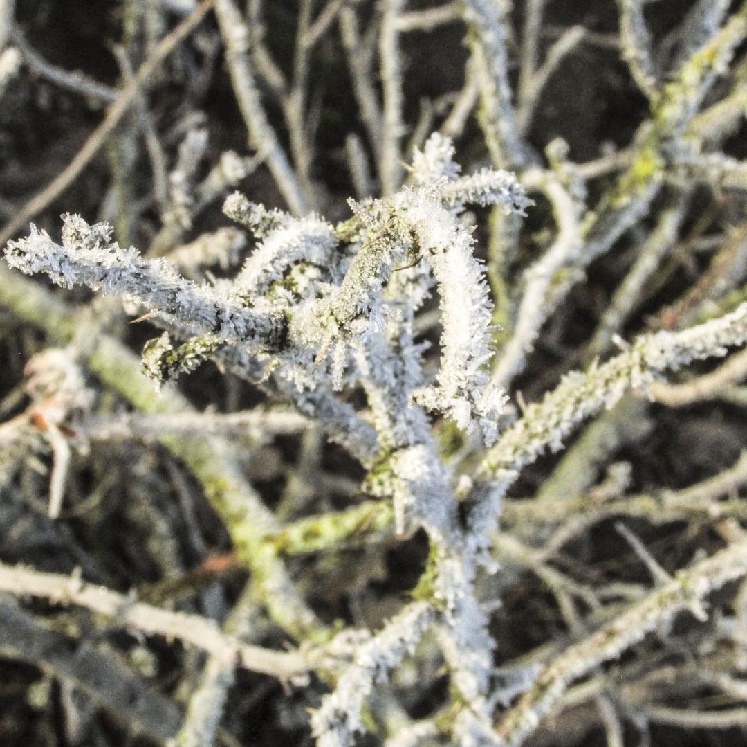 moimir_iv в LOOKY — фото 4