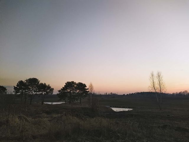 oleg_lll_ in LOOKY. #photo,#photography,#landscapephotography,#artist,#forest,#nokia7plus,#nokia,#nokiamobile. #photo #photography ...