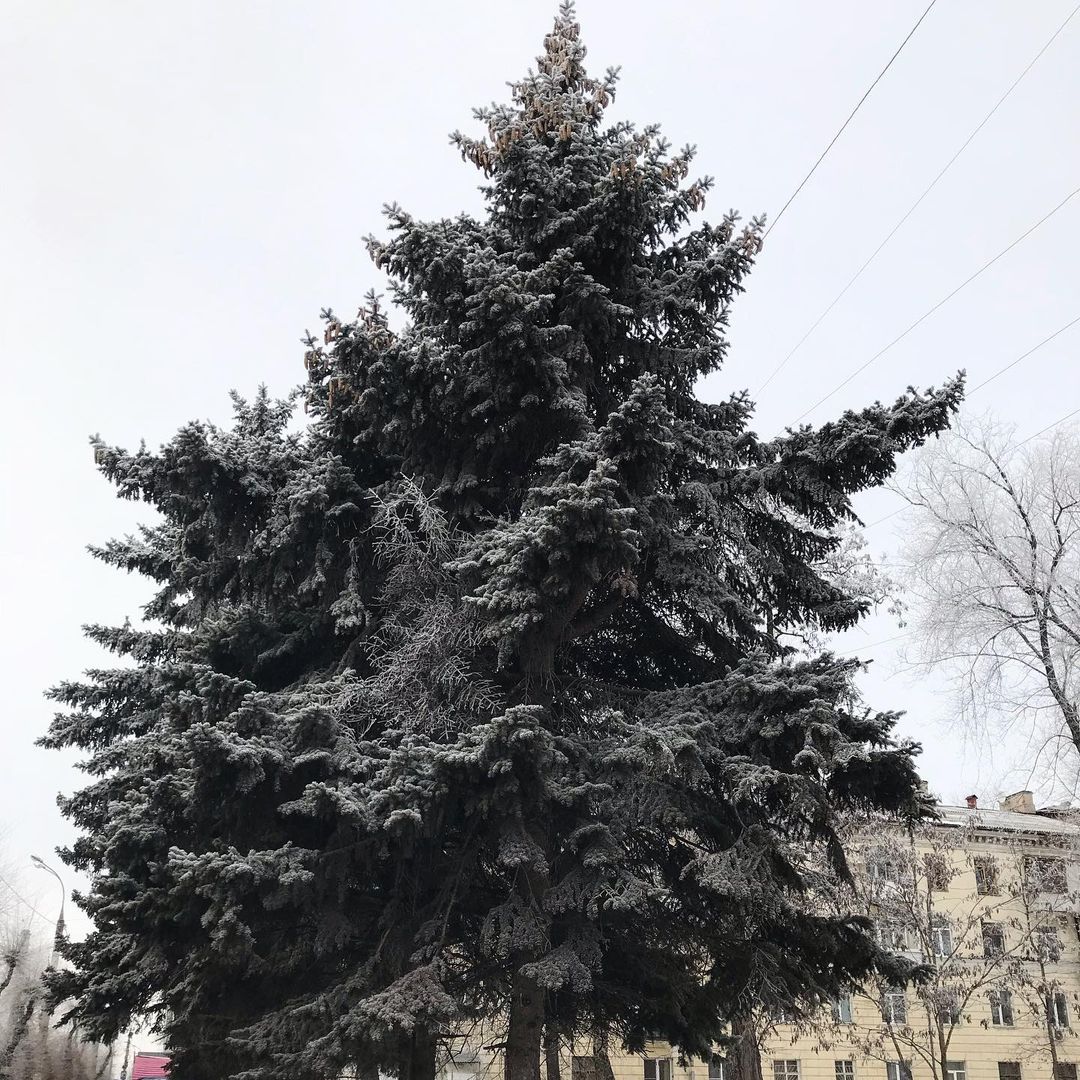 larusmax в LOOKY — фото 2