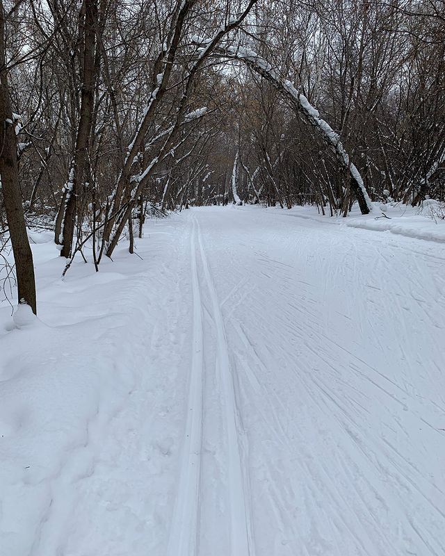 sdp_92 в LOOKY. . null