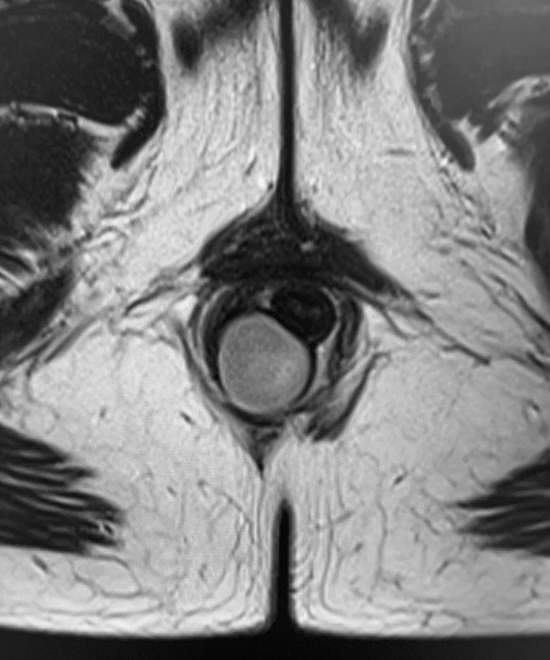 russianradiology в LOOKY — фото 3