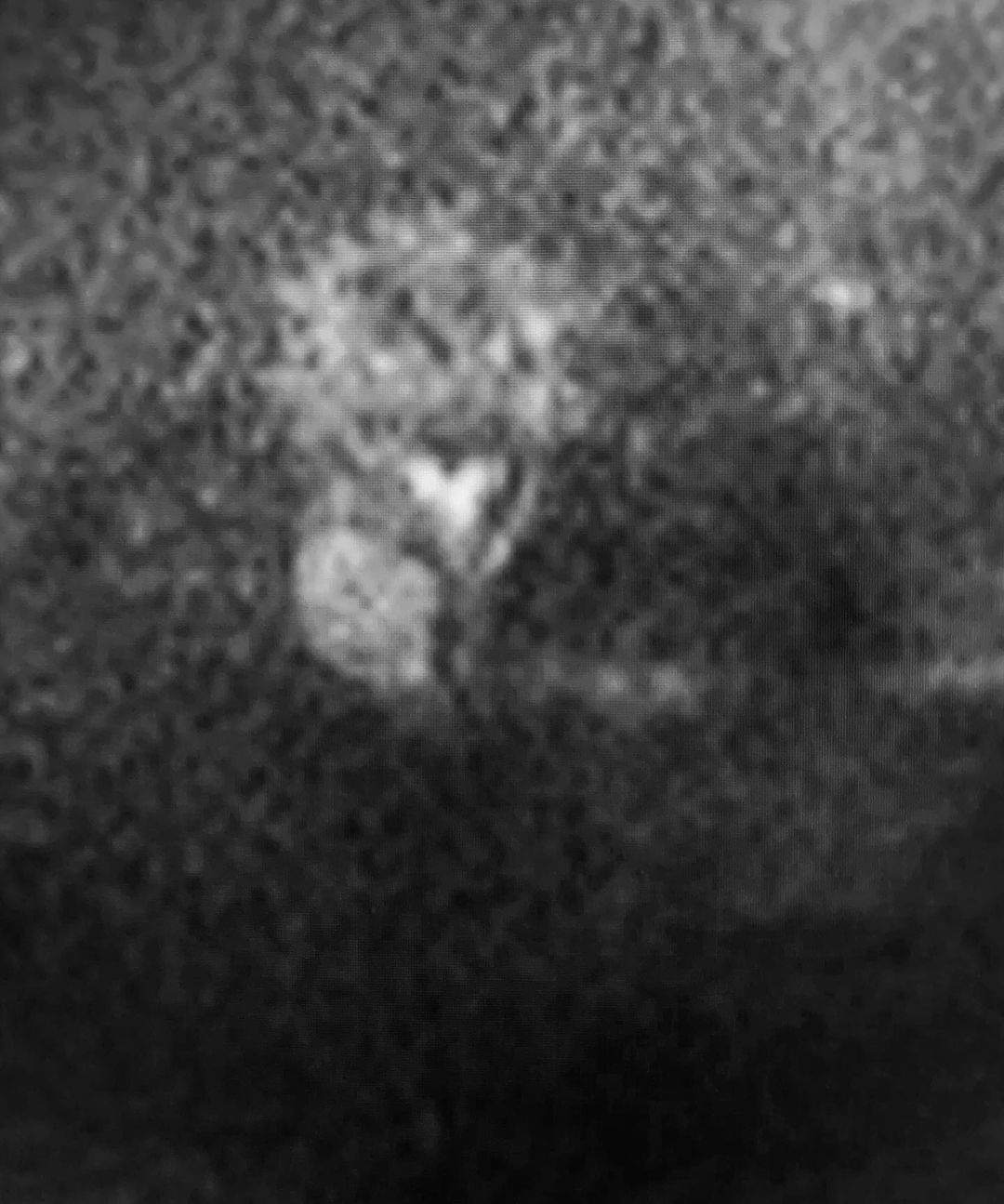 russianradiology в LOOKY — фото 5
