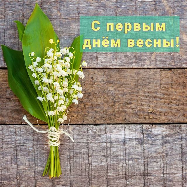 i_rina_as в LOOKY. . Вот и перезимовали😃...