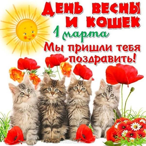 larisatyseva в LOOKY. . null