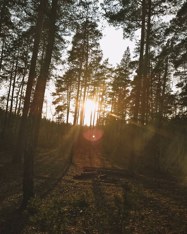 oleg_lll_ in LOOKY. #photo,#photography,#landscapephotography,#landscape,#art,#artist,#sunlight,#light. Прогулка в лесу) #ph...