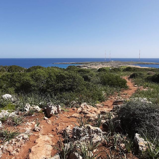 mari_shade в LOOKY. #capegreco,#нетникого,#голубаялагуна,#лава,#тропыкипра,#айянапавмарте,#кактусыисуккуленты,#море,#кипр2020,#я❤море,#турист,#айянапа,#кипр,#cyprus. По неизведанным троп...