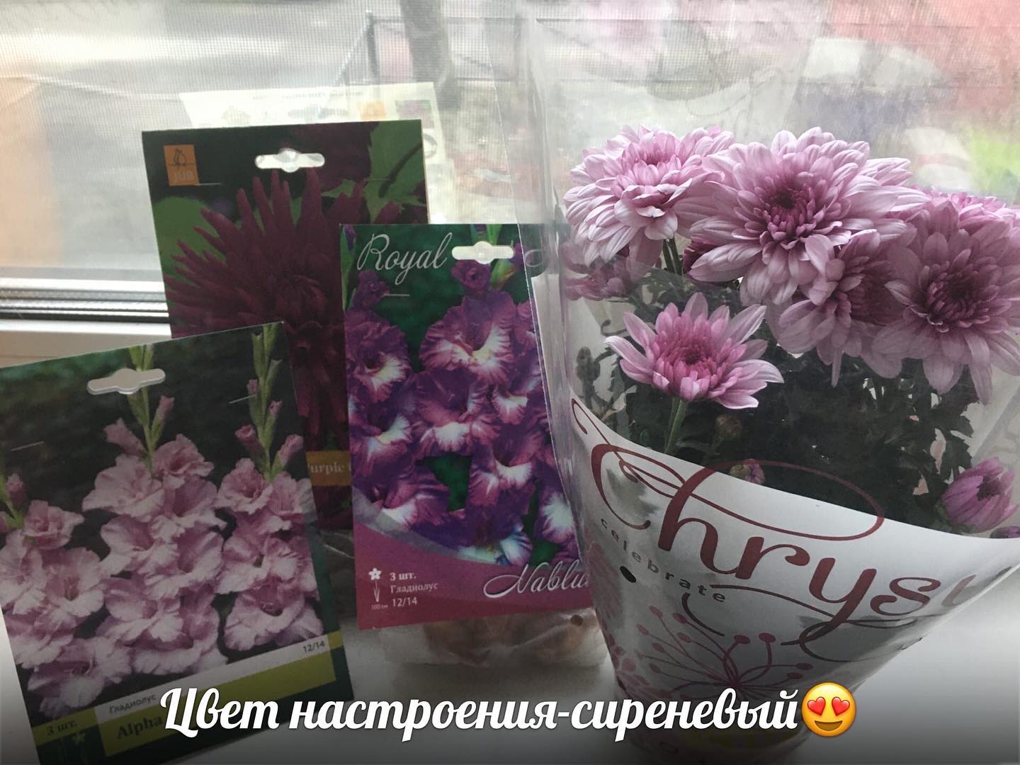 zaets_natalia в LOOKY. . null