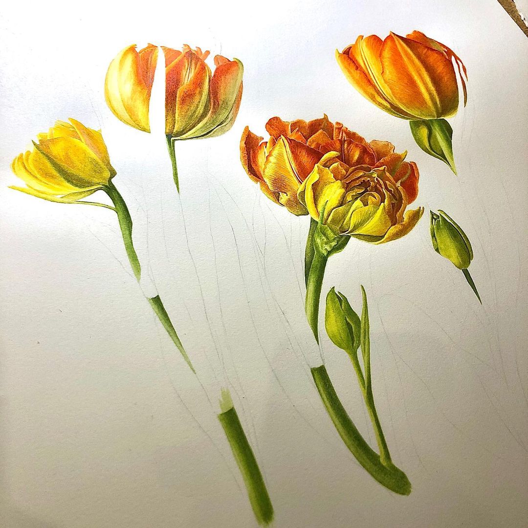mariayarmish_botanicalart в LOOKY — еще немного процесса...photo of the process #monteorangetuli