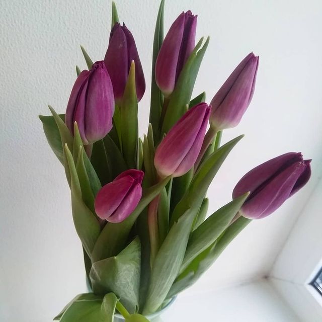 mary.ya22 в LOOKY. #цветы,#отлюбимогомужа. Цветочки от любимого...