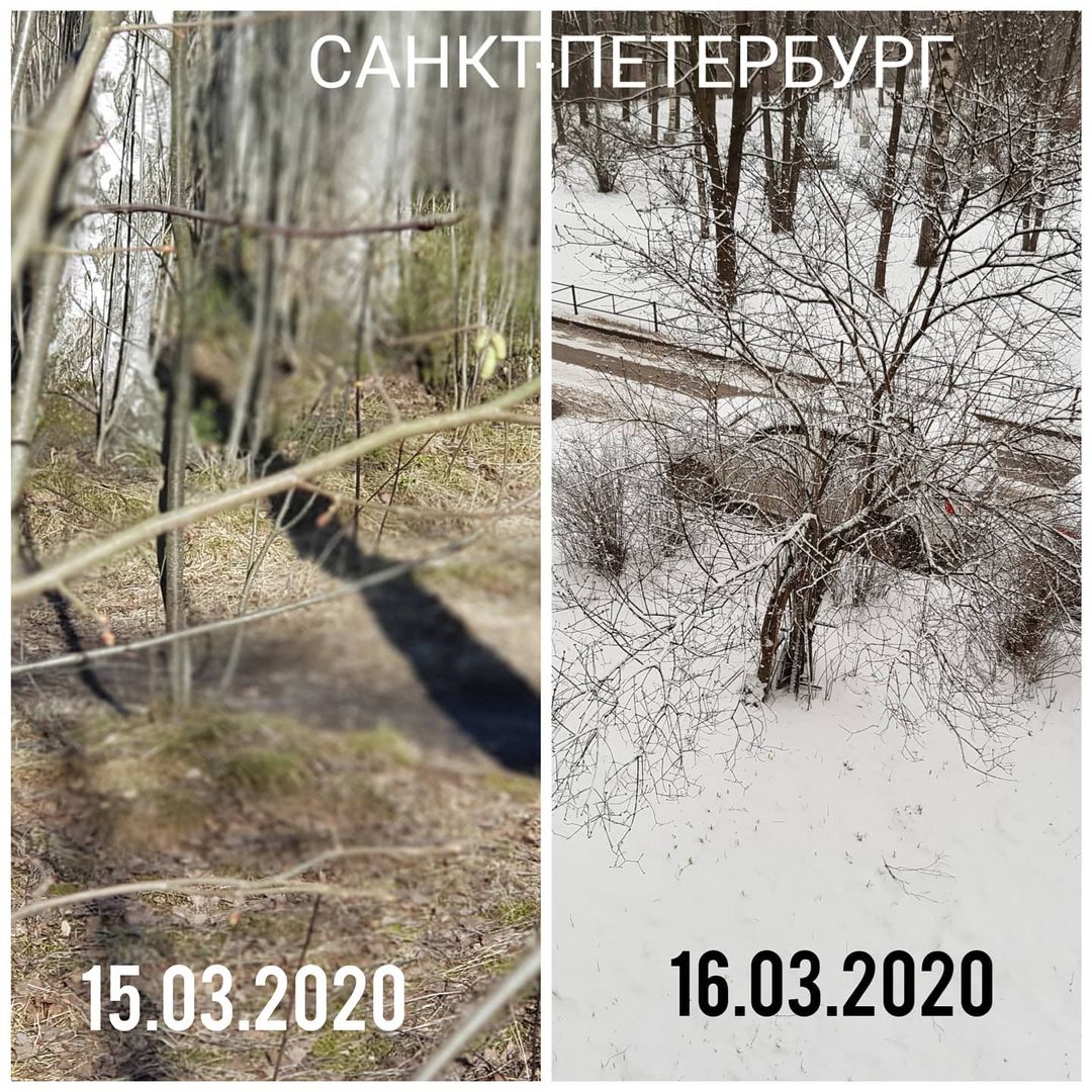 svetakostenko в LOOKY — 2020. Санкт-Петербург.Вчера загорали 🌞, а сегодня шубы дост