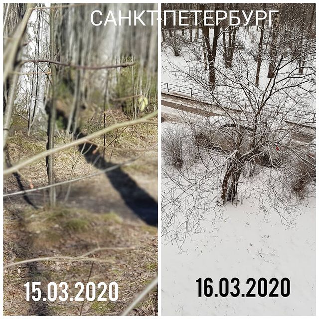 svetakostenko в LOOKY. . 2020. Санкт-Петербур...