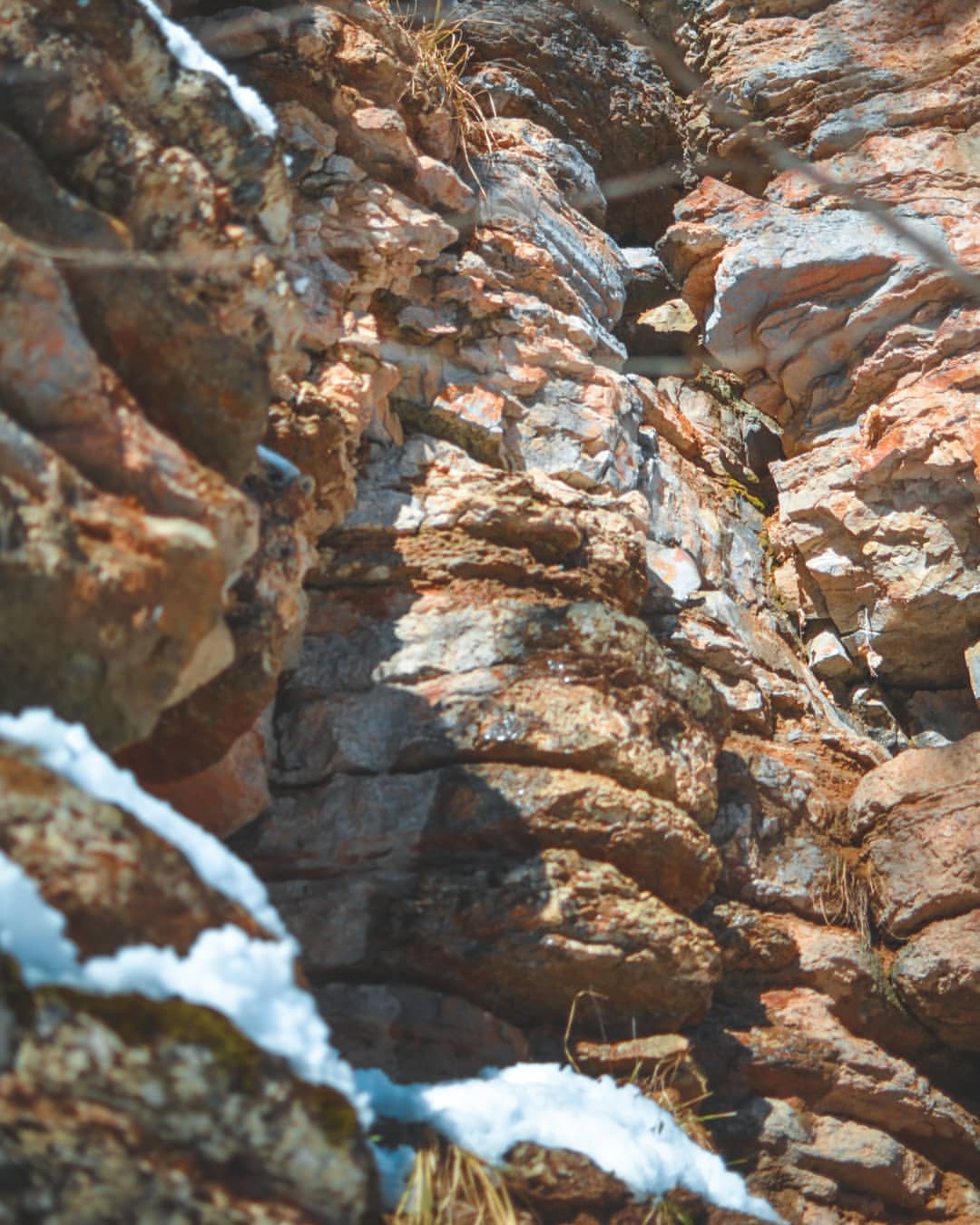 gadkijaspid в LOOKY — фото 3