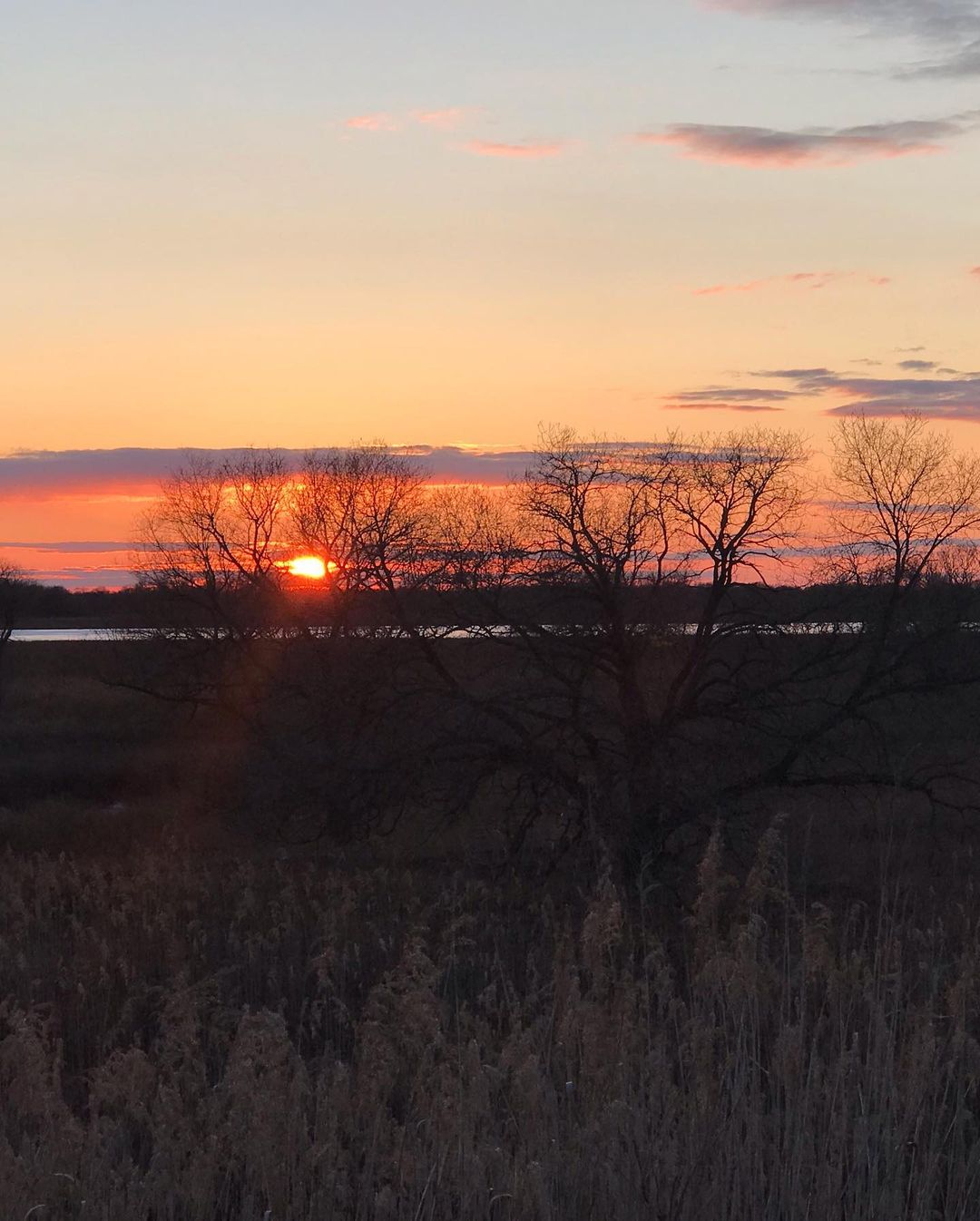 lenaelena6527 в LOOKY — фото 2