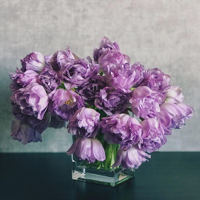 natashkin_ee в LOOKY. #instamood,#instaday,#vsco,#vscocam,#vscorussia,#lphonephotography,#tulips,#flowers,#floreville,#serenity,#inpiration,#stilllife,#lifestyle,#fordreamers. Хаос #instamood #ins...