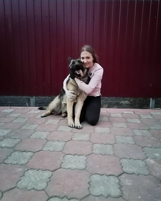 aleka194 в LOOKY. . Не так уж и просто с...