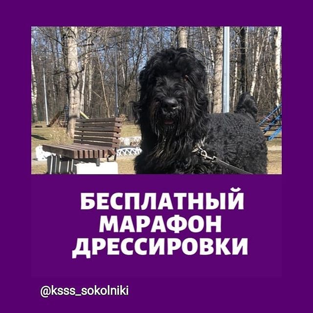 nio_66 в LOOKY. #марафонкссс. Участвую в #марафонк...