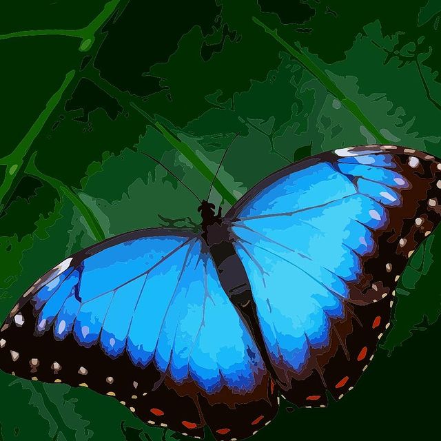 j04di в LOOKY. . 🦋