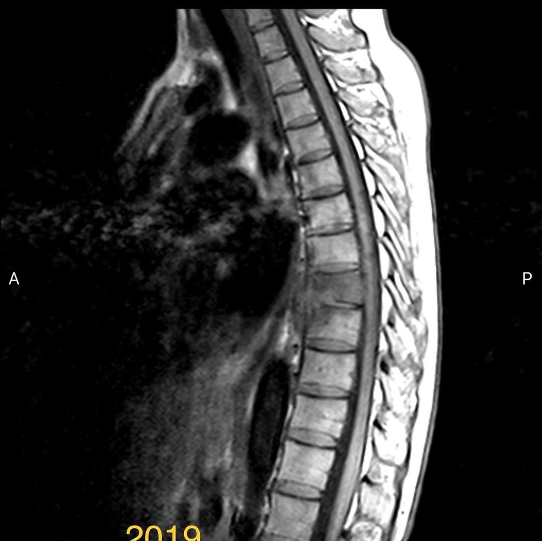 russianradiology в LOOKY — фото 2