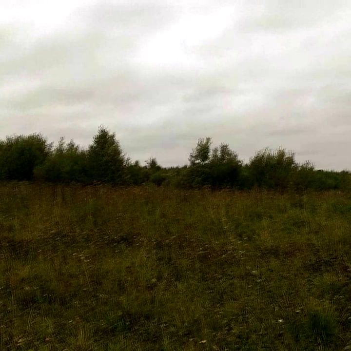 kirill_konstantinovich43 в LOOKY. #гитара,#кавер,#музыкант,#дидюля,#осеньавгуст,#cover,#voice,#song,#живойзвук,#quitar,#likes,#likesforlikes,#likesforfollow,#likesreturned,#likesforlike,#лайки,#лайкивзаимно,#лайквзаимно,#follow,#followme,#follow4follow,#followforfollow,#followback,#подпишисьвзаимно,#взаимнаяподписка,#подписка,#взаимныелайки,#лайктайм. https://youtu.be/N27...