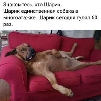 excelenzza в LOOKY. . null